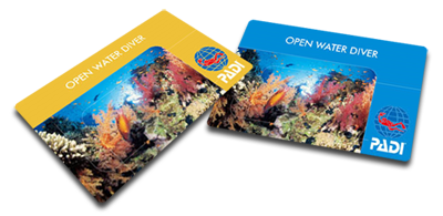 c-card