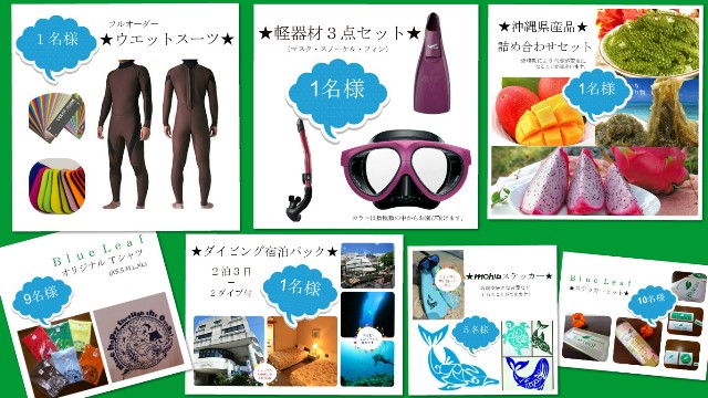 collage_photocat - コピー