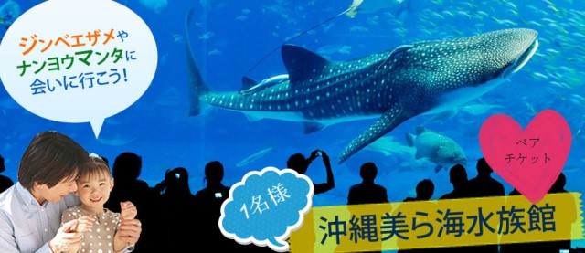 美ら海水族館ペアチケット