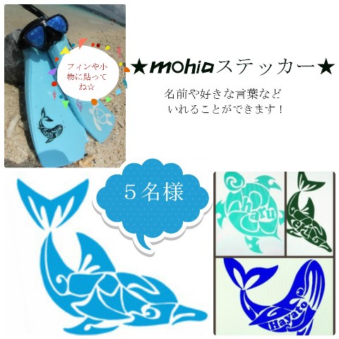 ステッカーphotocat