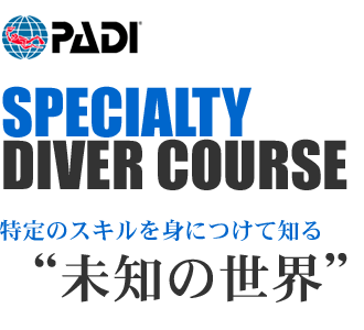 スペシャルティコース