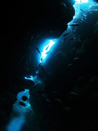 瀬底島ラビリンス｜ブルーリーフ