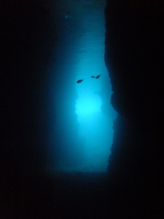 青の洞窟体験ダイビング２