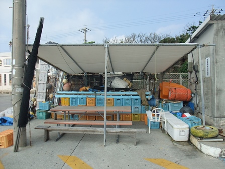 日除け完成