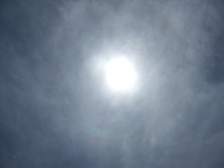久々の太陽