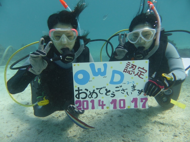 OWDコース認定