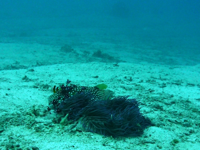 P1030339
