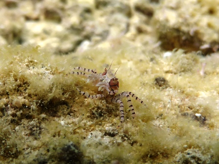 P1110669