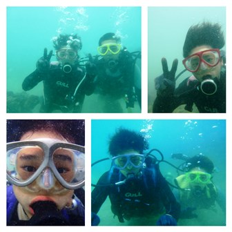 collage_photocat