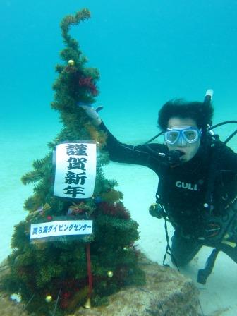 ブルーリーフ元旦ダイブ｜
