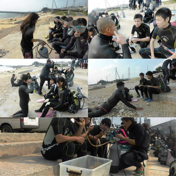 体験collage_photocat