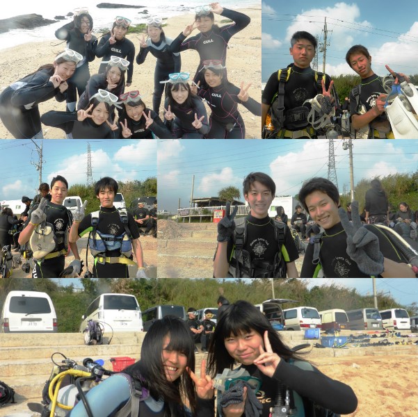 体験collage_photofgcat