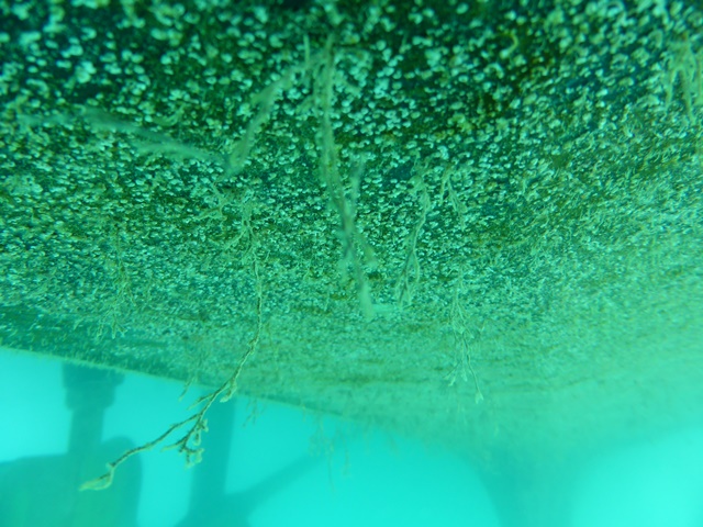 P1120941