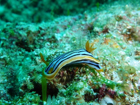 P1020441