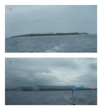 沖縄ダイビングcollage_photocat