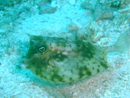DSCF9430