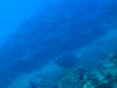 DSCF9561