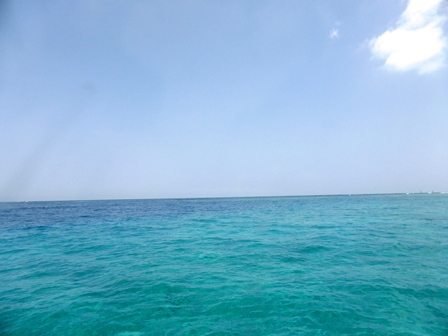 P1160838