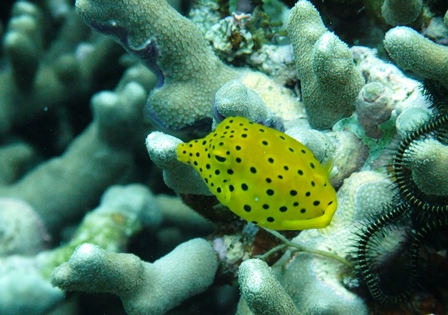 DSCF9843