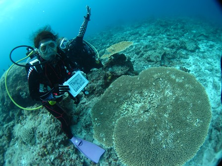 水納島ラストダイブ