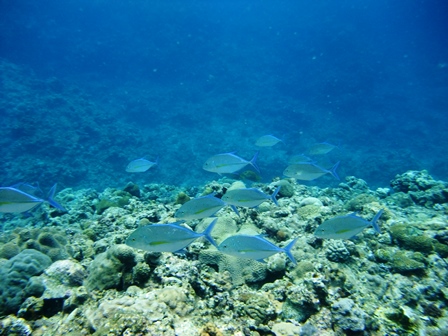 DSCF1022