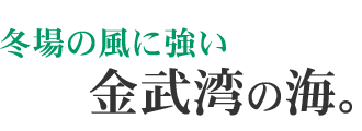 text23