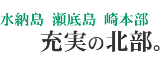 text26