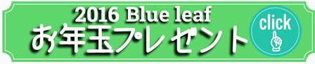 ★2016お年玉プレゼント★