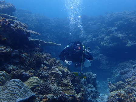 水納島遠征ダイブ