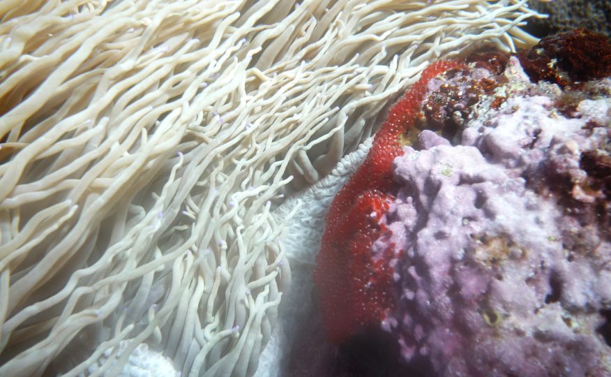 P1070466