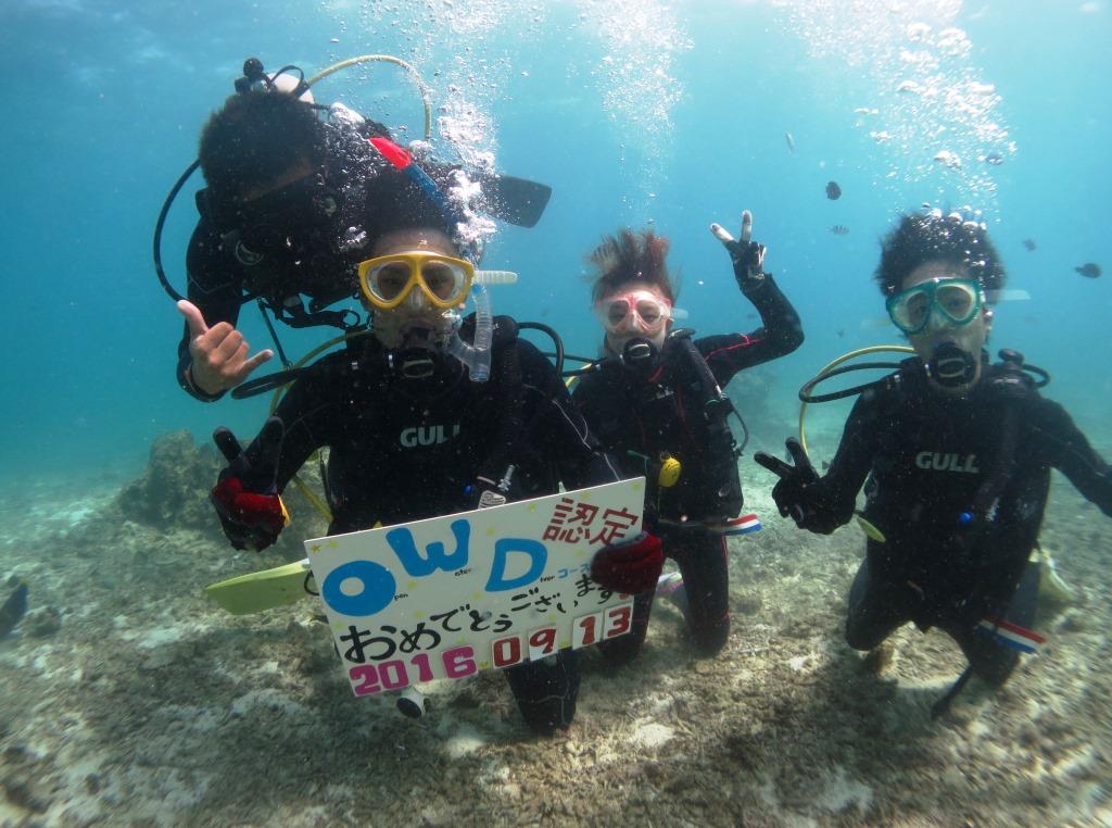 padi%e3%82%aa%e3%83%bc%e3%83%97%e3%83%b3%e3%82%a6%e3%82%a9%e3%83%bc%e3%82%bf%e3%83%bc%e3%83%80%e3%82%a4%e3%83%90%e3%83%bc%e3%82%b3%e3%83%bc%e3%82%b9