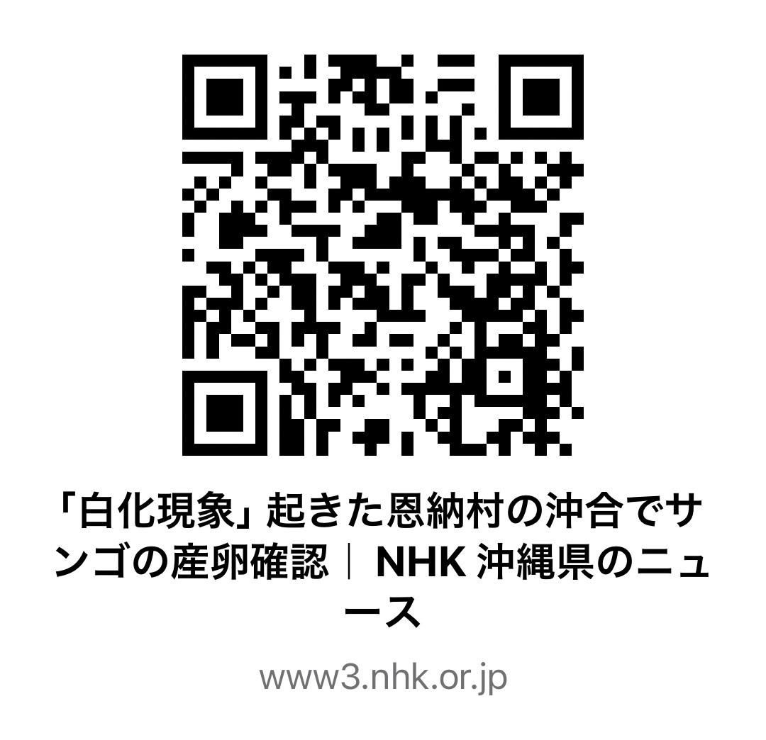 恩納村のサンゴ産卵を報道するNHK沖縄ニュース(2025年6月26日)のQRコード画像