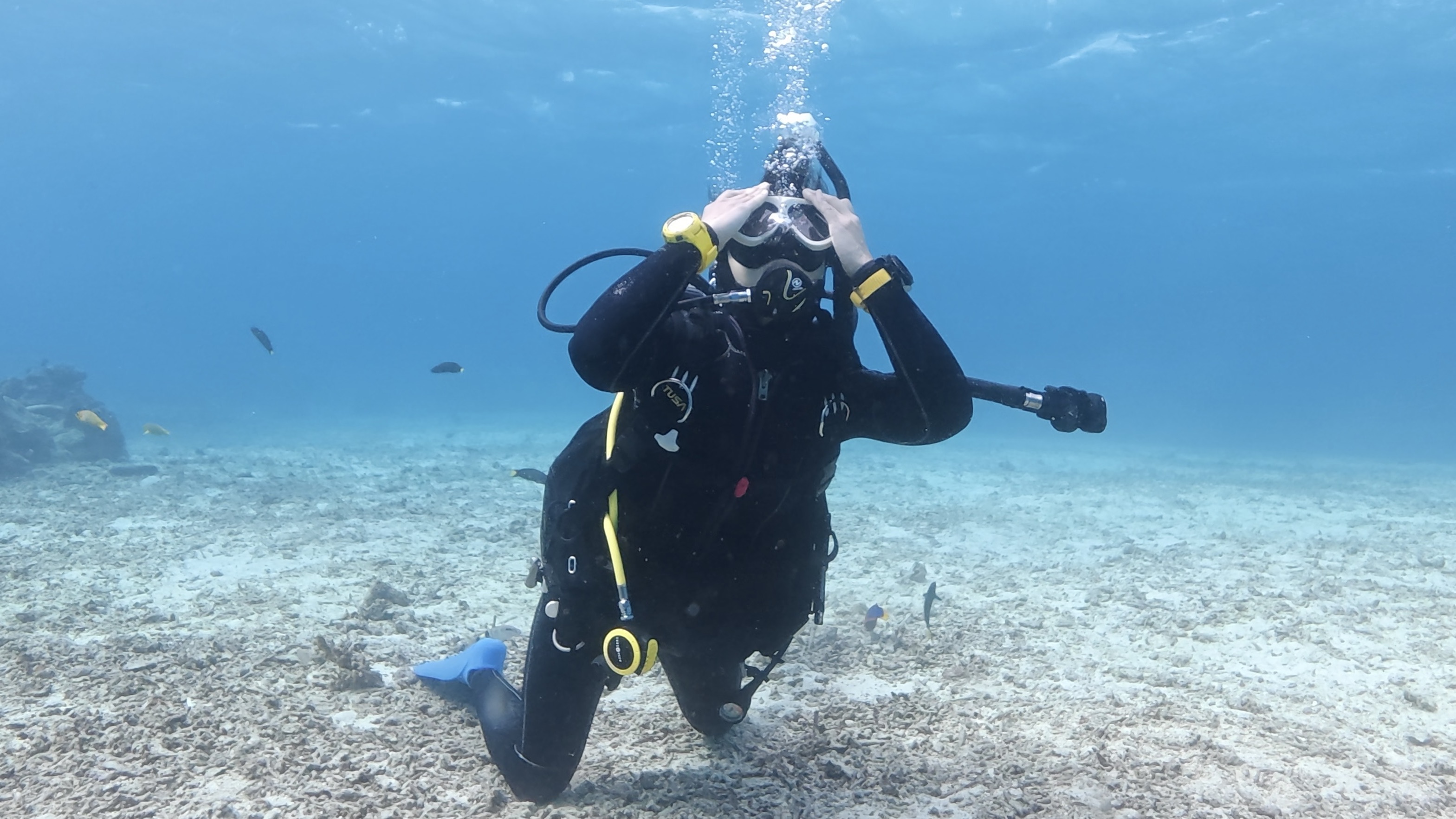 水中でマスクの脱着とマスククリアを練習するDM候補生(ゆっくり手順を確認)