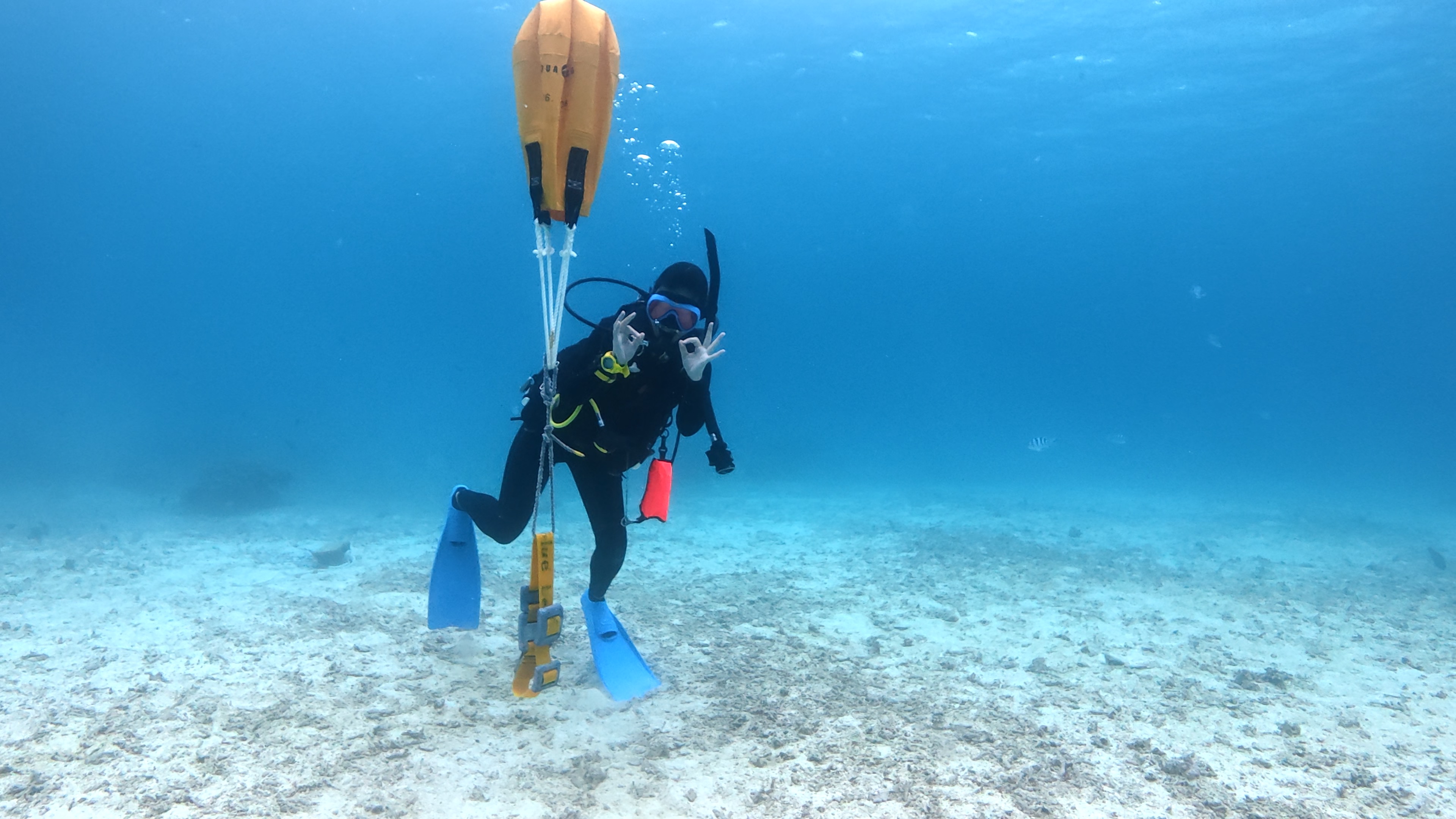 沖縄・恩納村の海中でダイバーがリフトバックに空気を入れてサインを出している様子