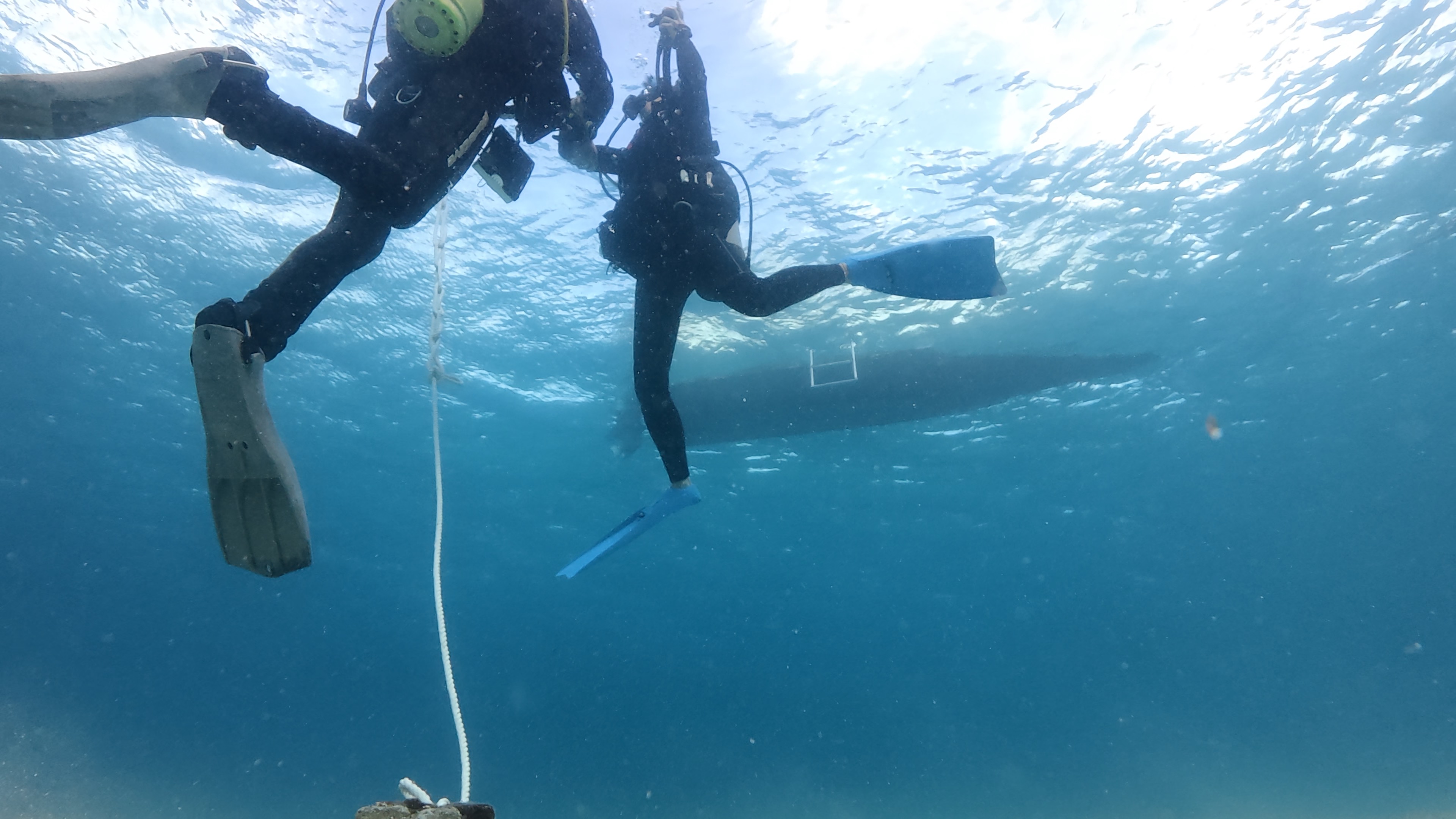 バディのバックアップ空気源を使用しながら、姿勢と浮上速度を保って一緒に浮上している様子