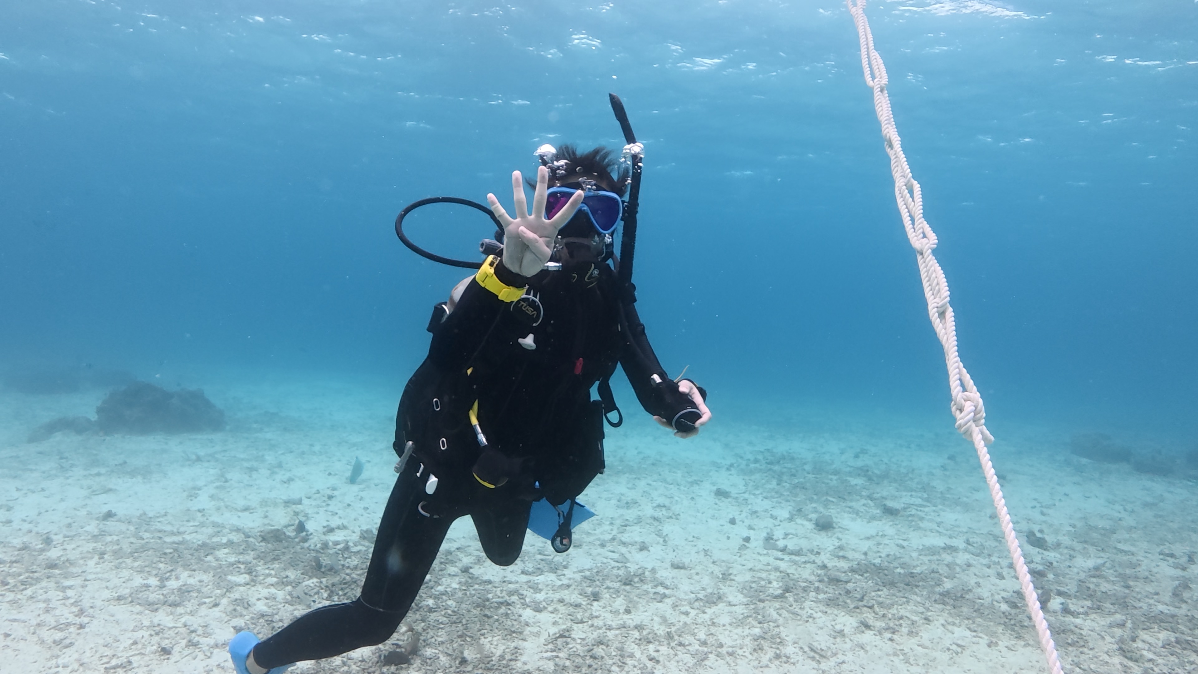水中でファイブポイント浮上を行い、周囲確認をしながら安全に浮上している様子