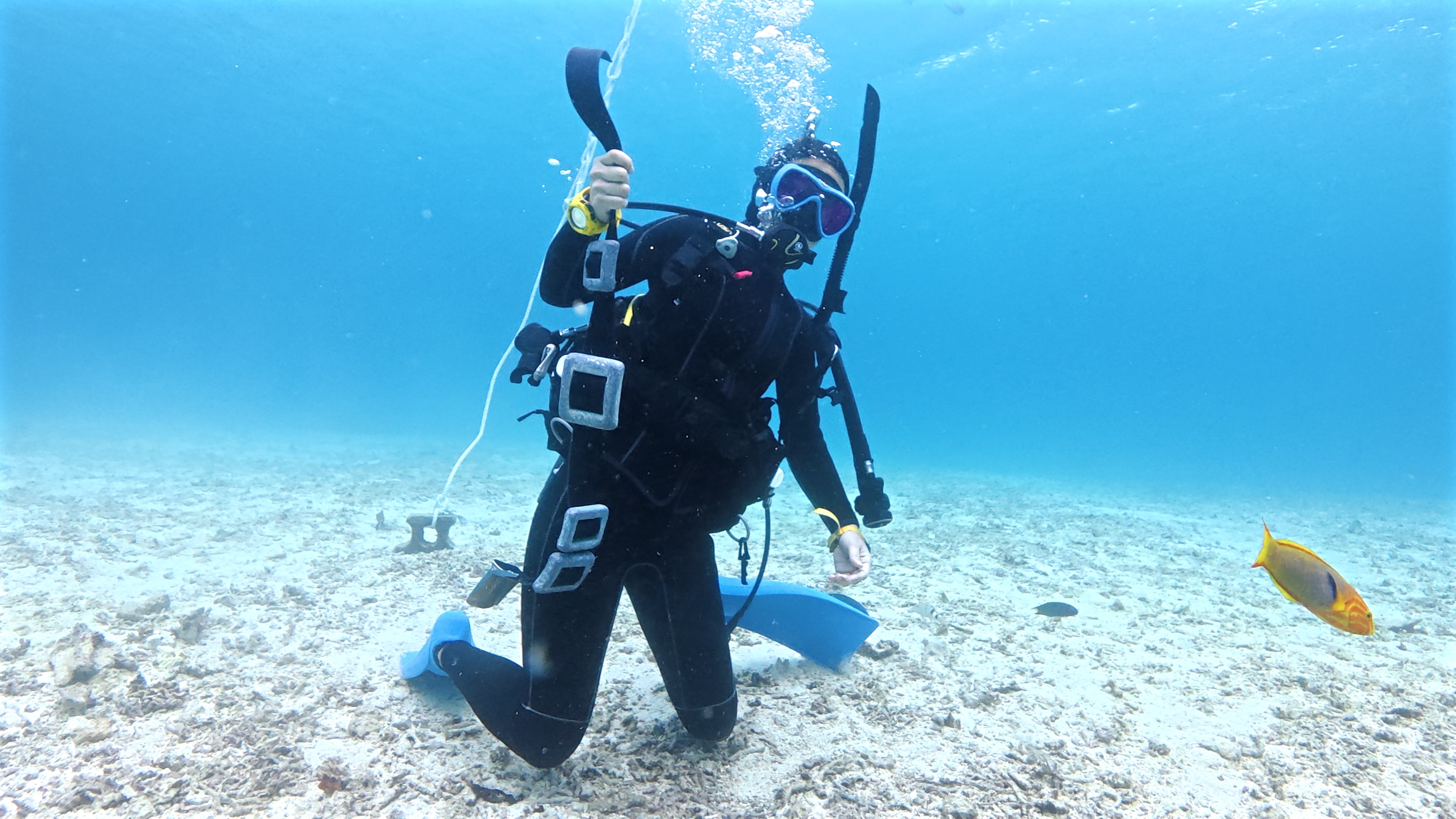 水中でウエイトシステムを外して再装着し、浮力を保ちながら固定している様子