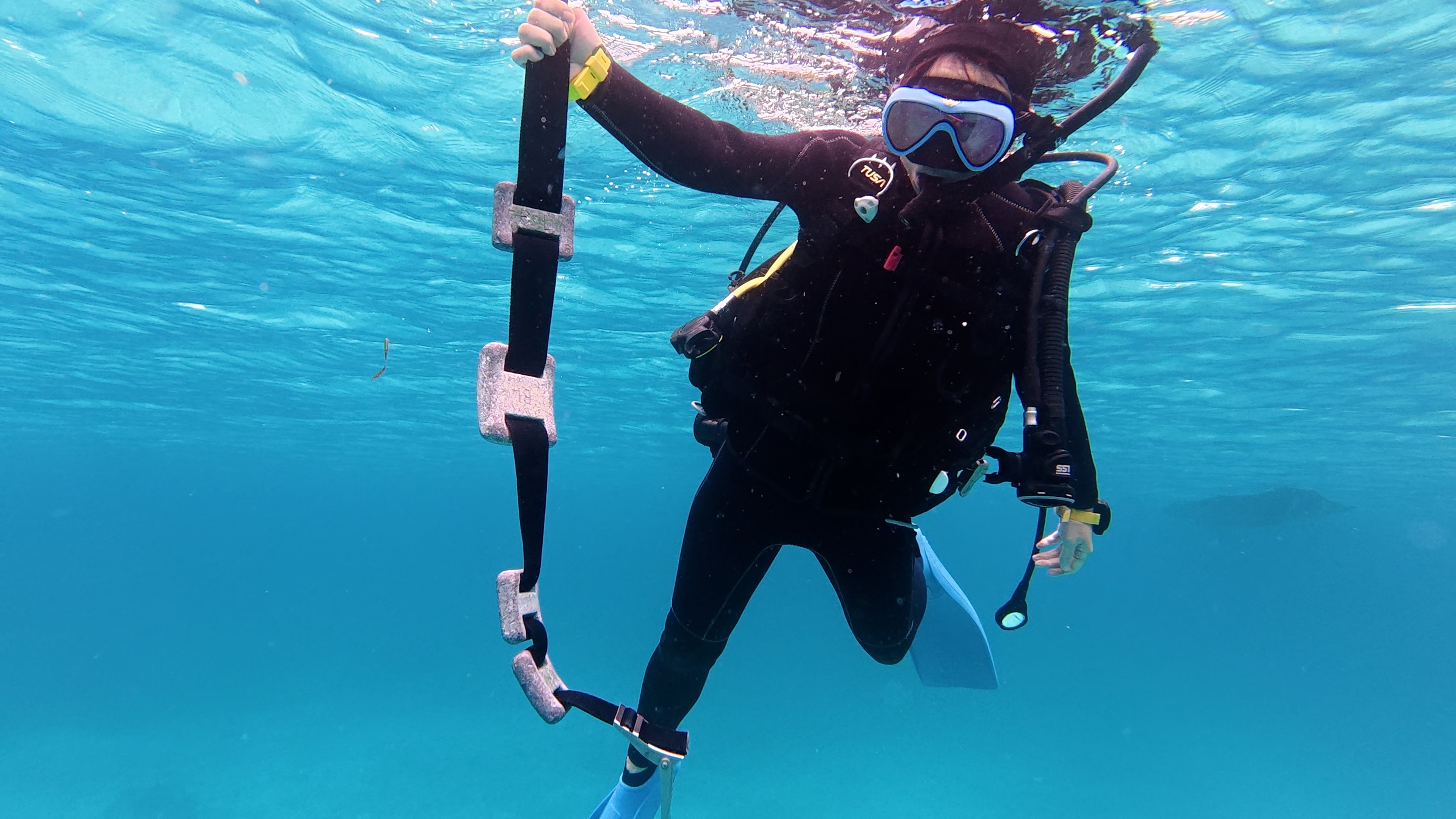 緊急時に浮力を確保するため、ウエイトをドロップする手順を実施しているダイバーの様子