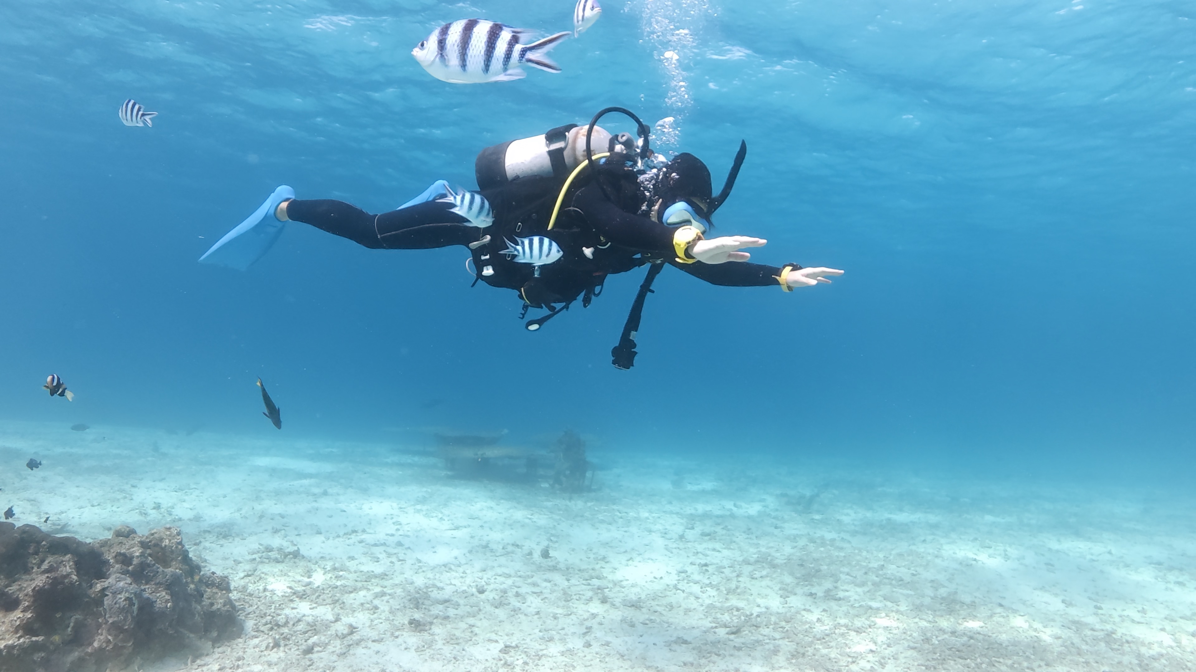 中層で水平姿勢を保ち、手足のバランスを整えながら泳ぐダイバー（浮力コントロール練習）