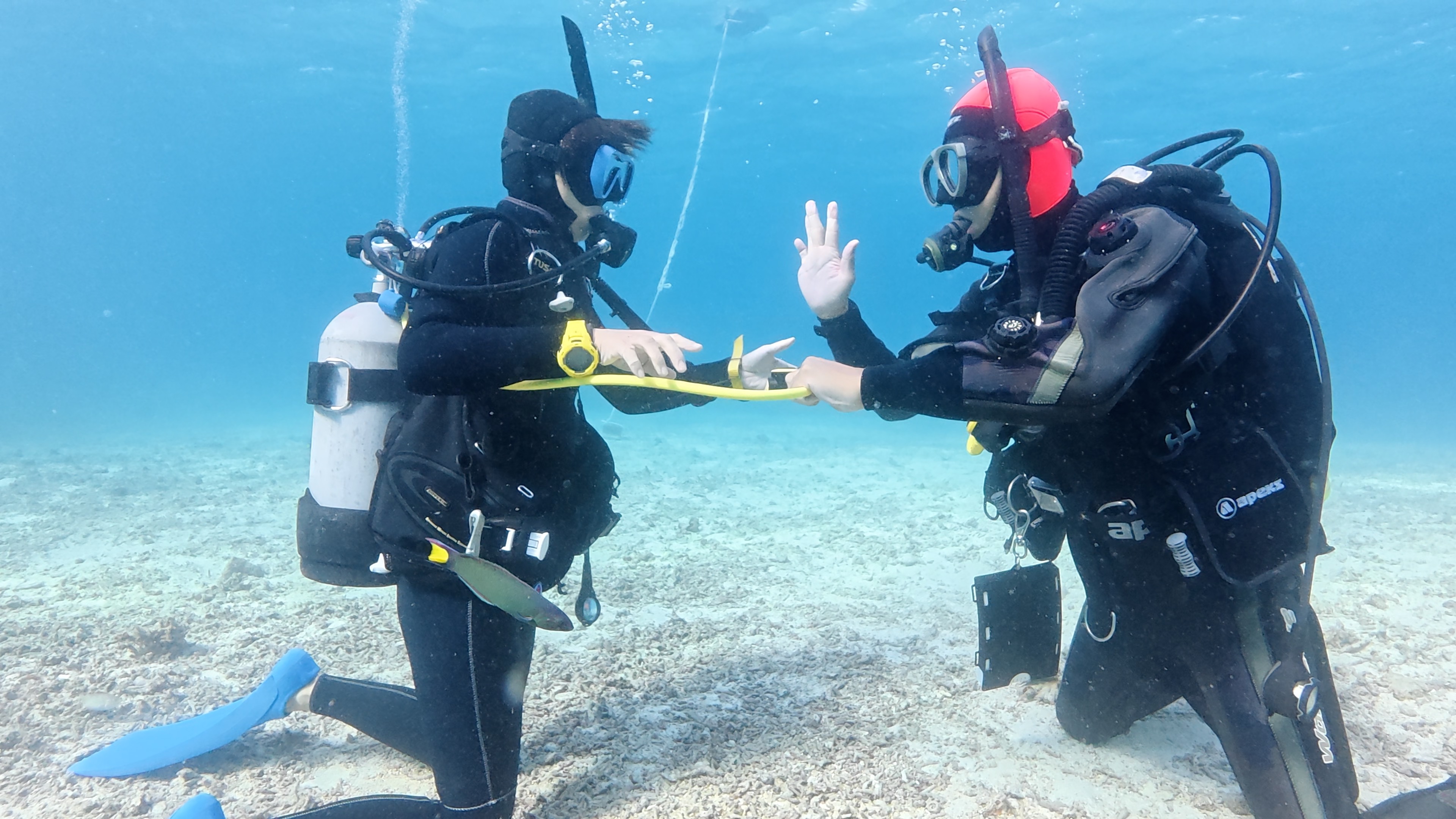 水中で予備の空気源を使う緊急手順を、2人で合図を交えながら確認している様子